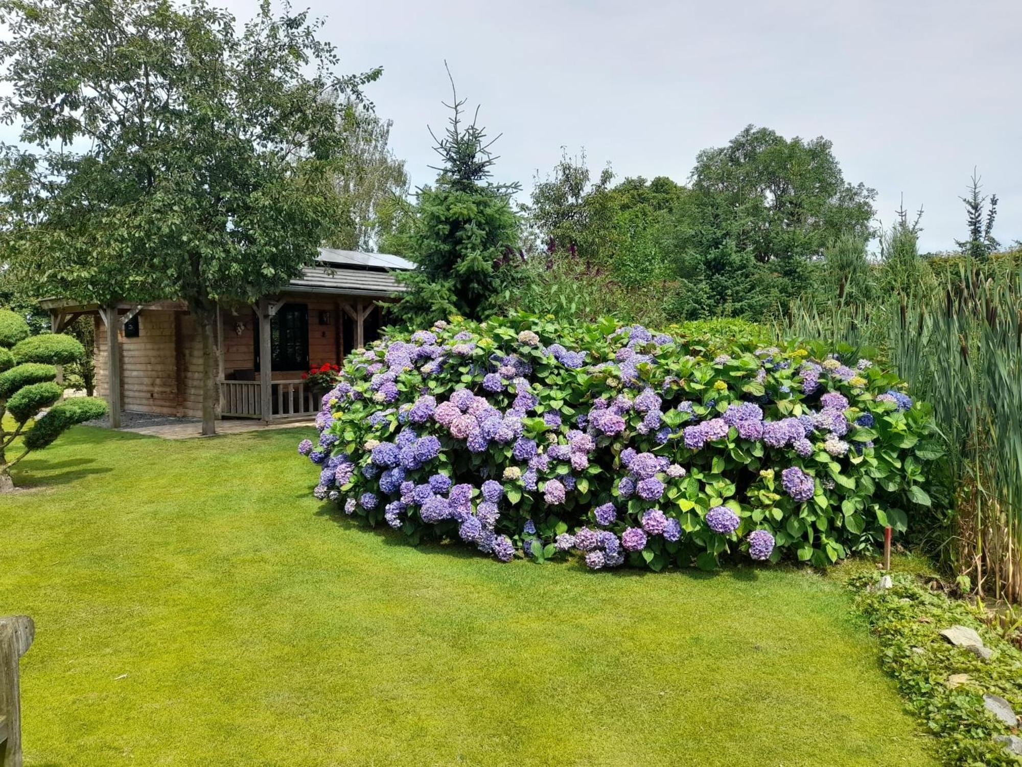 Appel Lodge Diessen Esterno foto